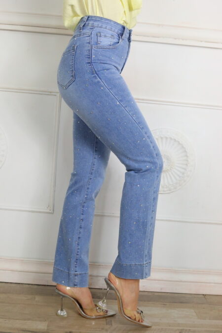 Vaquero Recto Brillos